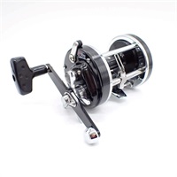 アンバサダービッグゲーム